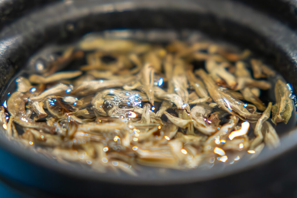 Buds of the Yunnan Silver Needle white tea floating in water in a ceramic pitcher
