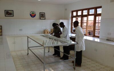 The Colonization of Tea: Today’s Urgent Need for Change