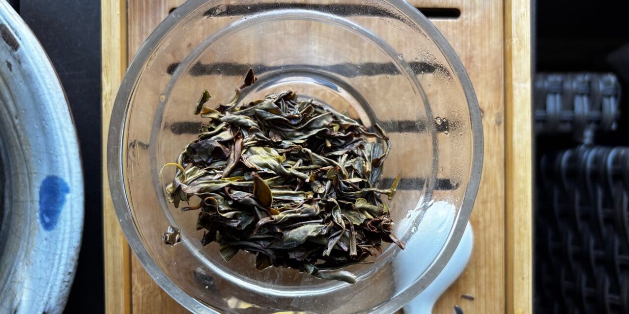 A Beautiful Bouquet: Black Jade Wulong from Volition Tea