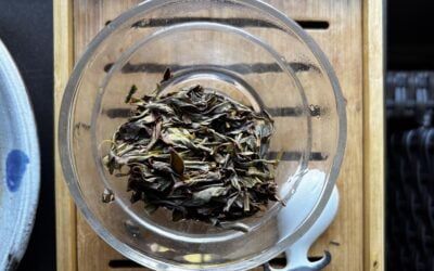 A Beautiful Bouquet: Black Jade Wulong from Volition Tea
